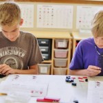 Lucas and Jacob building project.